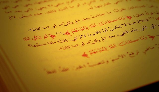 Arabic courses